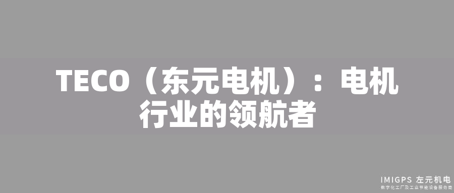 TECO（東元電機(jī)）：電機(jī)行業(yè)的領(lǐng)航者