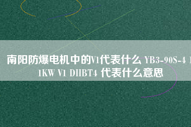 南陽防爆電機中的V1代表什么 YB3-90S-4 1.1KW V1 DIIBT4 代表什么意思